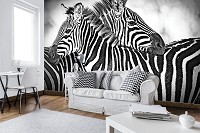 Флизелиновые черно-белые фотообои с животными 416x254 см Две зебры (10159VEXXXL) +клей