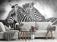 Флизелиновые фотообои черно-белые животные 416x290 см Две зебры (10159VEXXXXL) +клей
