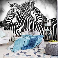 Флизелиновые фотообои черно-белые животные 460x300 см Две зебры (10159V12) +клей