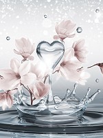 Флизелиновые фотообои цветы 206x275 см 3Д Сердце на воде с магнолиями (10163VEA)+клей - вид 1 миниатюра