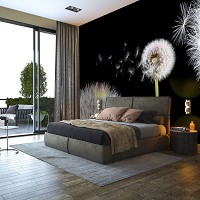 Флизелиновые фотообои 3д цветы 520x318 см Одуванчики на черном фоне (10165VEXXXXXL) +клей