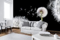 3д цветы флизелиновые фотообои 368x254 см Одуванчики на черном фоне (10165V8) +клей