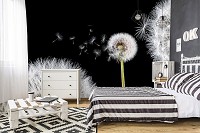 Популярные флизелиновые фотообои 3д цветы 312x219 см Одуванчики на черном фоне (10165VEXXL) +клей