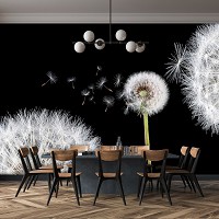 Флизелиновые фотообои в коридор 3д цветы 416x254 см Одуванчики на черном фоне (10165VEXXXL) +клей