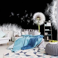 Флизелиновые фотообои 3д цветы 416x290 см Одуванчики на черном фоне (10165VEXXXXL) +клей