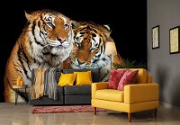Флизелиновые фотообои 3д животные коты 368x254 см Два тигра на черном фоне (10173V8) +клей