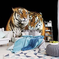 3Д Тварини Кішки Дика природа флізелінові фотошпалери 254x184 см Два тигри на чорному тлі (10173V4)+клей