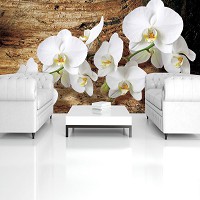 Флизелин - зал с фотообоями цветы 416x254 см 3Д Яркие белые орхидеи (1017VEXXXL)+клей