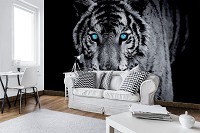Флизелиновые фотообои на кухню черно-белые животные 520x318 см Тигр с голубыми глазами (10202VEXXXXXL) +клей