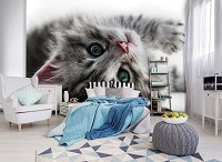 Флизелиновые 3д фотообои котята 416x254 см Котенок с зелеными глазами (10203VEXXXL)+клей
