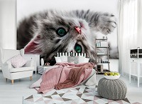 Забавные животные флизелиновые 3д фотообои 254x184 см Котенок с зелеными глазами (10203V4)+клей