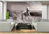 Природа флизелиновые фотообои 3Д в сепии 368x254 см Лошадь скачет по пляжу (10229V8)+клей