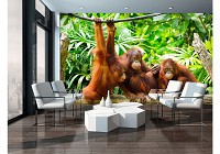 Флизелиновые фотообои в стиле джунгли 254x184 см 3Д Животные Обезьяны (10230V4)+клей