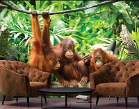 Природа флизелиновые фотообои 3Д Животные 312x219 см Обезьяны в джунглях (10230VEXXL)+клей