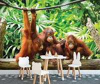 Флизелиновые фотообои 3д животные 416x254 см Обезьяны в джунглях (10230VEXXXL)+клей