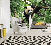 Флізелінові фотошпалери до зали 3Д Тварини Джунглі Природа 416x254 см Ведмідь панда на дереві (10238VEXXXL)+клей - вид 5 мініатюра