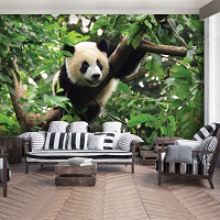 Флизелиновые фотообои джунгли в интерьере 3Д Животные Природа 368x254 см Медведь панда на дереве (10238V8)+клей