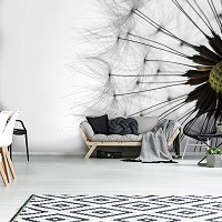 Гостиной 3д флизелиновые фотообои цветы 416x254 см макросъемка одуванчика на белом фоне (1023VEXXXL)+клей