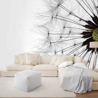 Флизелиновые фотообои цветы 368x254 см 3Д макросъемка одуванчика на белом фоне (1023V8)+клей