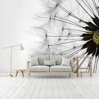 Флизелиновые фотообои на стену в зал цветы 312x219 см 3Д макросъемка одуванчика на белом фоне (1023VEXXL)+клей