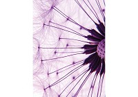 Флізелінові фотошпалери спальня квіти 206x275 см 3Д макрозйомка рожевого кульбаби (1025VEA)+клей - вид 1 мініатюра