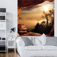 Красивые флизелиновые 3д фотообои с природой 184x254 см Вид из пещеры на туманный лес (10262V4A)+клей