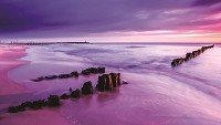 Над кроватью 3д флизелиновые фотообои в спальню 254x184 см Фиолетовый морской пляж (1028V4)+клей