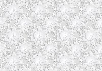 Флізелінові фотошпалери мистецтво 368x280 см Орнаменти Білі Квіти (10293V10) +клей - вид 1 мініатюра