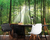 Флизелиновые фотообои 3Д Природа Деревья 312x219 см Солнечные лучи в зеленом лесу (10329VEXXL)+клей