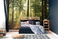 Флизелиновые 3д фотообои Природа Солнце Ландшафт 368x280 см Высокие деревья в лесу (10331V10) +клей