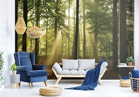 Флизелиновые 3д фотообои в интерьере Природа Солнце Ландшафт 312x219 см Высокие деревья в лесу (10331VEXXL) +клей