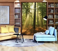 Флизелиновые 3Д фото обои на стену Природа Солнце Ландшафт 206х275 см Высокие деревья в лесу (10331VEA)+клей