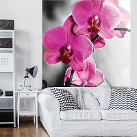Гостиной 3д флизелиновые фотообои с цветами 206x275 см Розовые орхидеи на черно-белом фоне (1034VEA)+клей
