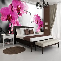Флизелиновые 3Д фотообои для гостиной комнаты фото цветы 254x184 см Розовые орхидеи на черно-белом фоне 1034V4+клей