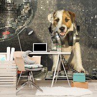 Природа флизелиновые 3Д фотообои 254x184 см Собака с наушниками (10383V4)+клей