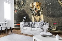 Флизелиновые 3Д фото обои животные 312 х 219 см Собака с наушниками (10383VEXXL)+клей