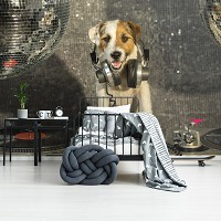 Оригінальні флізелінові 3Д фотошпалери в дитячу 416x254 см Собака з навушниками (10383VEXXXL)+клей - вид 8 мініатюра