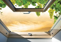 Флизелиновые фотообои пейзаж 416x254 см 3Д Вид из мансардного окна на виноград (10395VEXXXL) +клей - вид 1 миниатюра