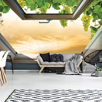 Флизелиновые фотообои 312x219 см 3Д Вид из мансардного окна на виноград (10395VEXXL) +клей