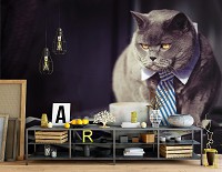 Флизелиновые 3Д фотообои с животными в интерьере 416x254 см Черный кот бизнесмен (10397VEXXXL)+клей