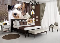 Флизелиновые фотообои 368x280 см 3Д Домашние Животные Собака Читает Книгу (10398V10) +клей