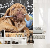 Флизелиновые 3Д фотообои домашние животные 206x275 см Собака Щенок (10430VEA)+клей