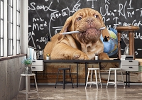 Забавные животные флизелиновые фотообои 416x290 см Собака Щенок (10430VEXXXXL) +клей