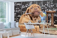 Забавные животные флизелиновые фотообои 416x290 см Собака Щенок (10430VEXXXXL) +клей - вид 7 миниатюра