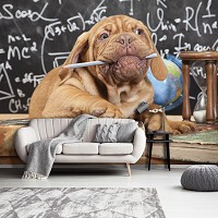 Флизелиновые фотообои в зал животные 368x254 см Собака Щенок (10430V8) +клей