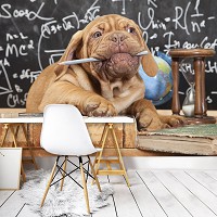 Флизелиновые фотообои с животными в интерьере 312x219 см Собака Щенок (10430VEXXL) +клей