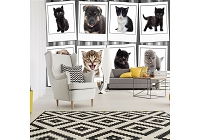 Флизелиновые фотообои животные на стену 368x254 см Фотографии щенков и котят (10453V8) +клей