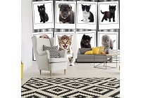 Флизелиновые фотообои коллаж домашними животных 254x184 см Фотографии щенков и котят (10453V4)+клей - вид 1 миниатюра