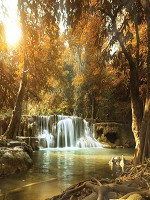 Флізелінові 3Д фотошпалери на стіну дерева 184x254 см Водоспад в осінньому лісі (10470V4A)+клей - вид 1 мініатюра