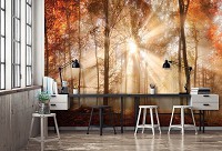 Флизелиновые 3д фотообои в гостиную природа 312x219 см Солнечные лучи в осеннем лесу (10471VEXXL) +клей